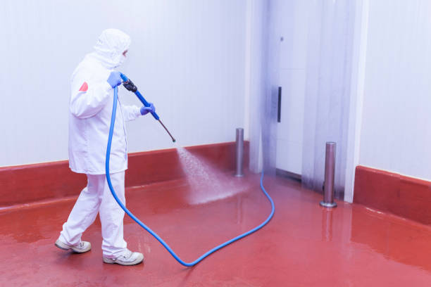 Best House Exterior Washing  in Porterdale, GA